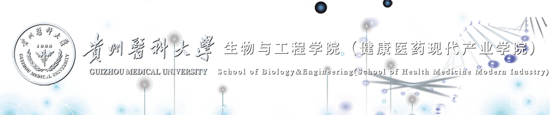 必赢242net